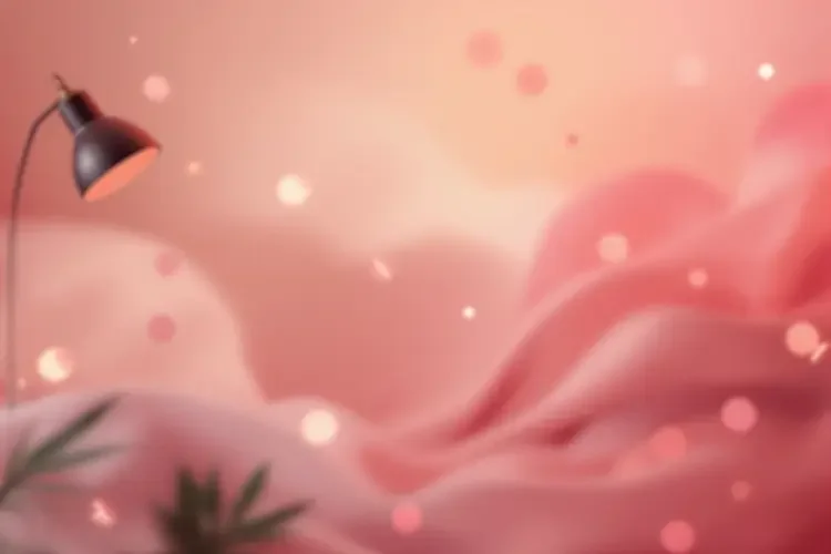 顶流主播直播破纪录，单场观看人数再创新高 - 网红见闻